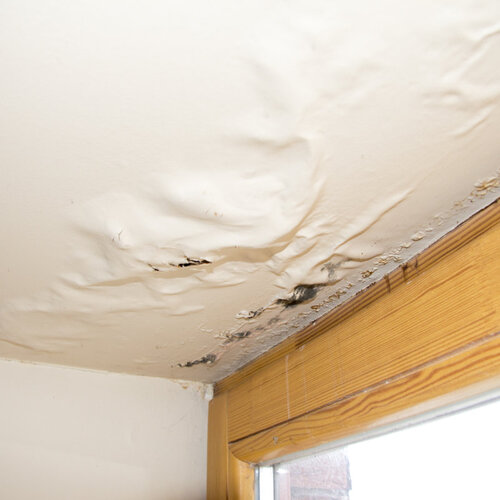How to detect water leaks in your home